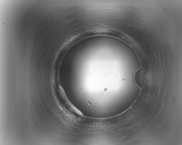 X0000068770732200605121701