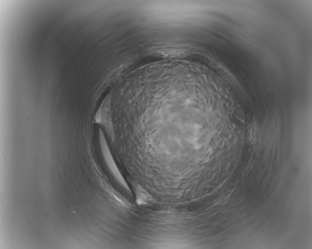 X0000068770733200605121701