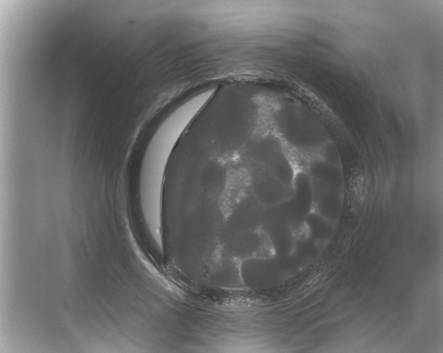 X0000068770734200605121701