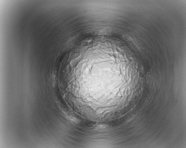 X0000068770741200605121701