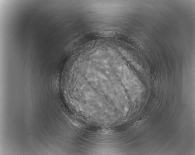 X0000068770745200605121701