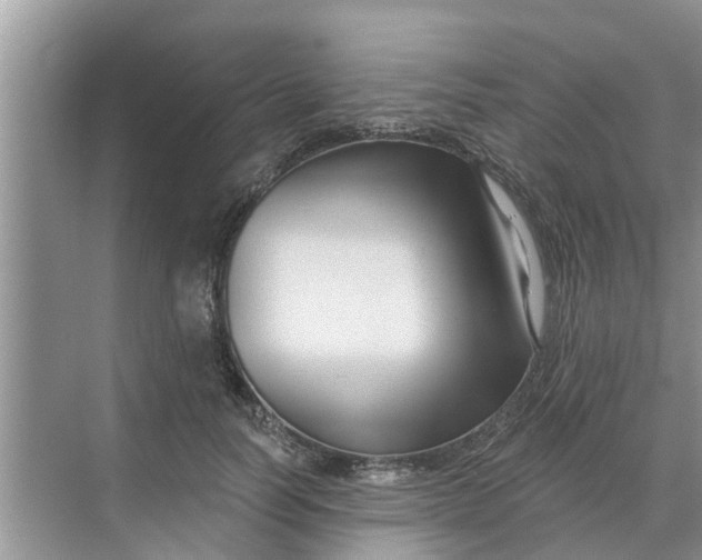 X0000068770746200605121701