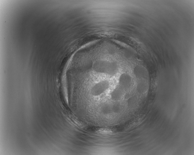 X0000068770749200605121701