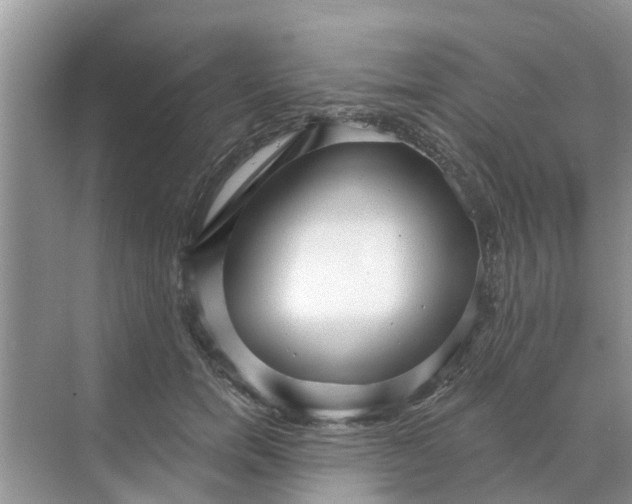 X0000068770750200605121701