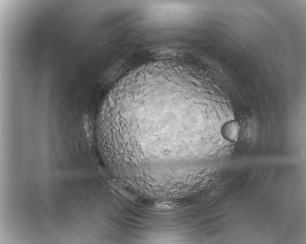 X0000068770753200605121701