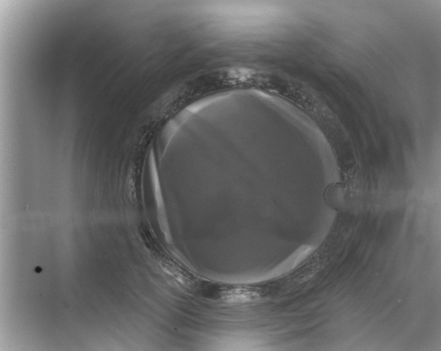 X0000068770754200605121701