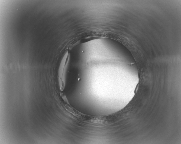 X0000068770756200605121701