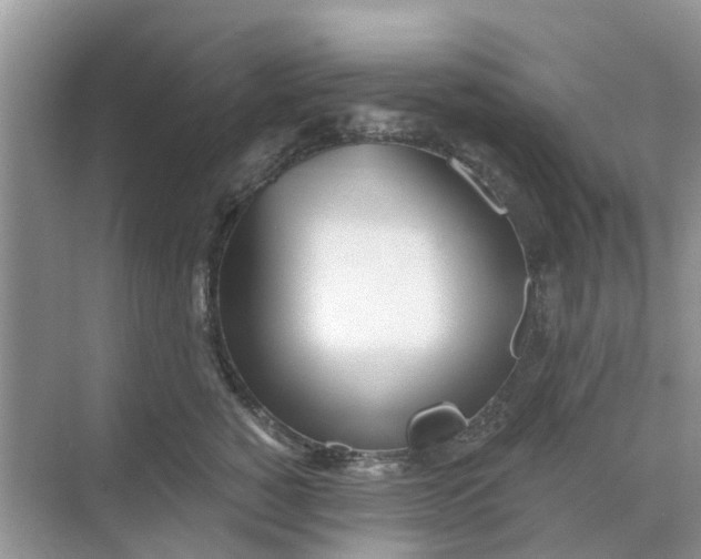 X0000068770760200605121701