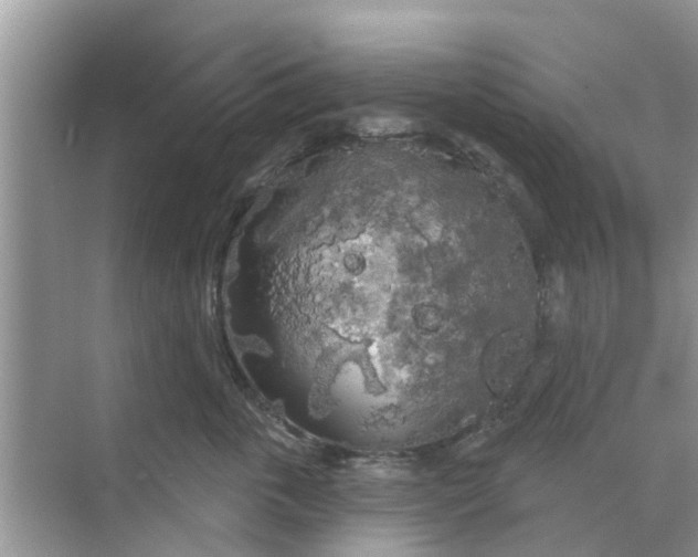 X0000068770763200605121701