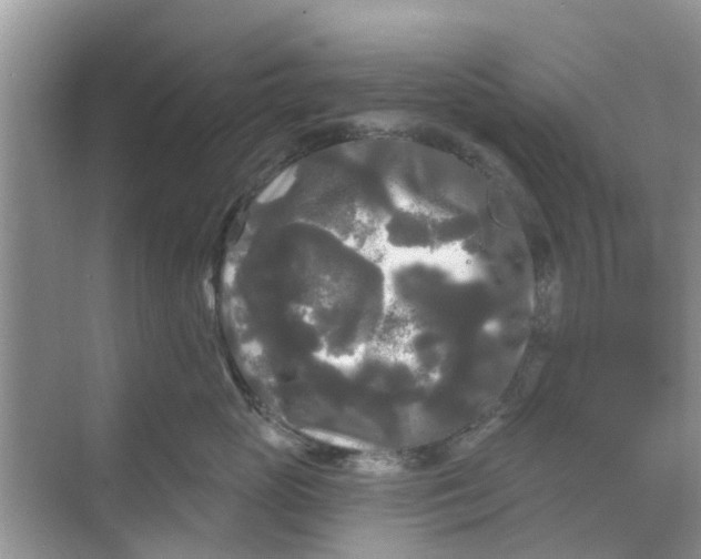 X0000068770765200605121701