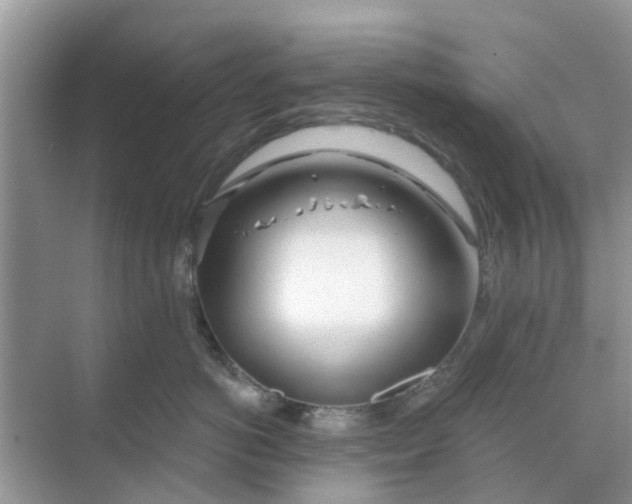 X0000068770766200605121701