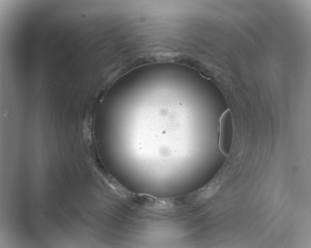 X0000068770768200605121701