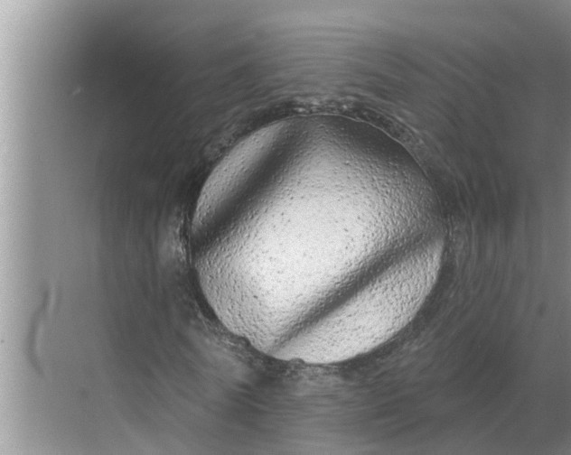 X0000068770770200605121701