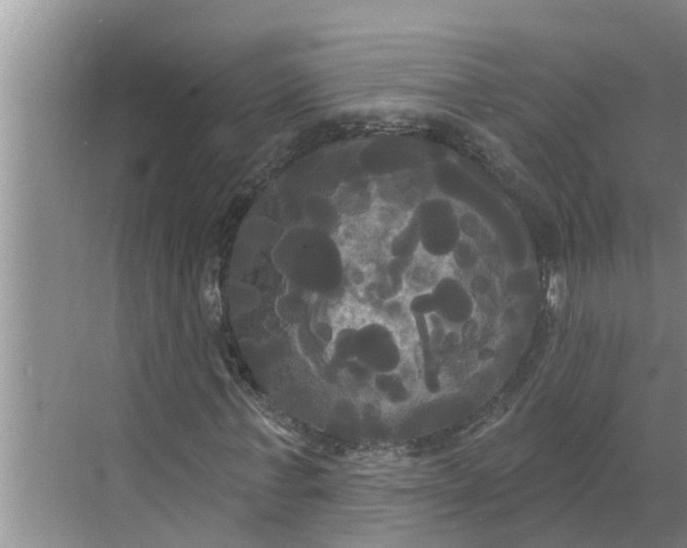 X0000068770771200605121701