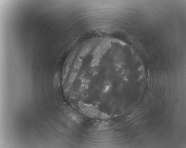 X0000068770772200605121701