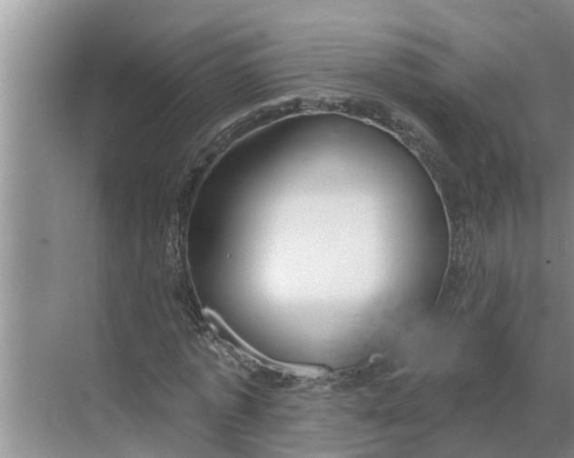 X0000068770773200605121701