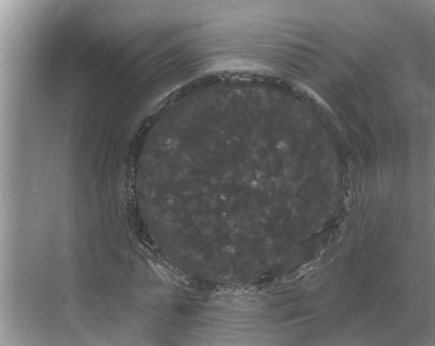 X0000068770775200605121700