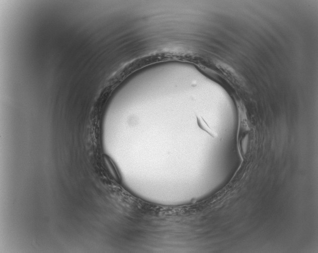 X0000068770776200605121700