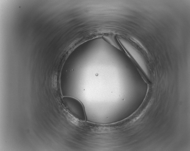 X0000068770777200605121700