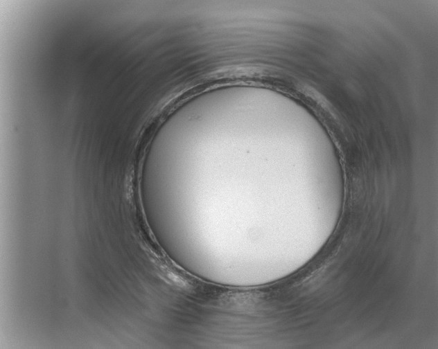 X0000068770778200605121700