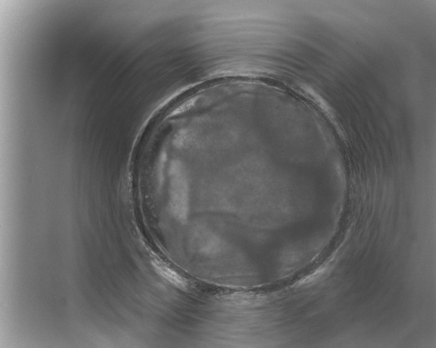 X0000068770779200605121700