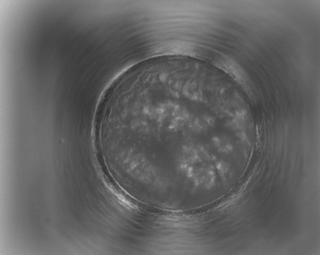 X0000068770780200605121700