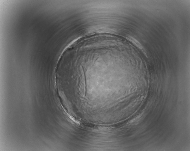 X0000068770782200605121700