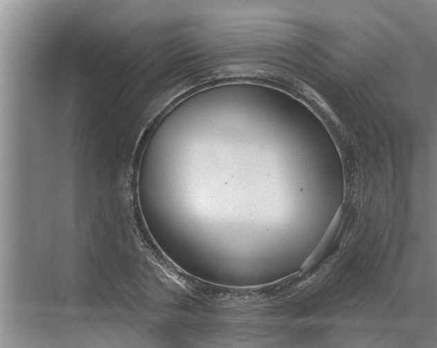 X0000068770786200605121700