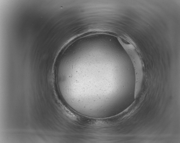 X0000068770787200605121700