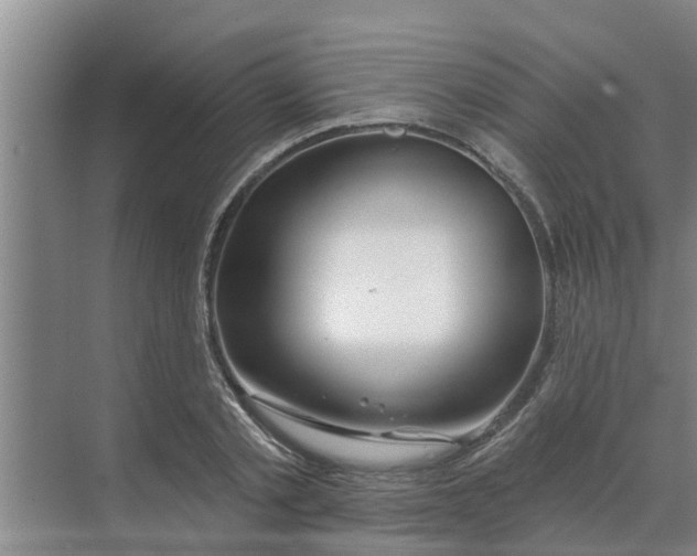 X0000068770789200605121700