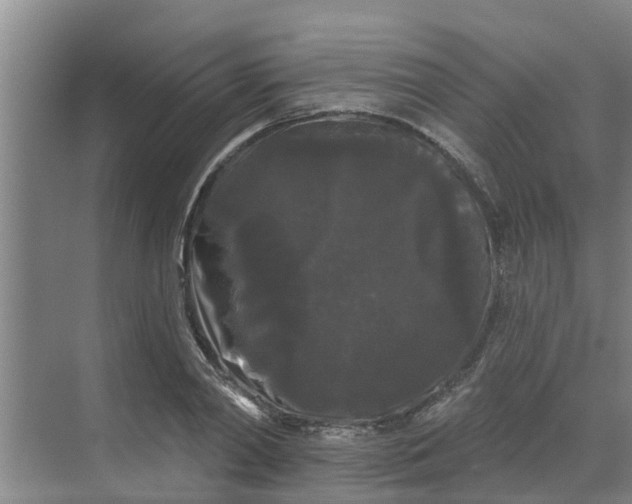 X0000068770790200605121700