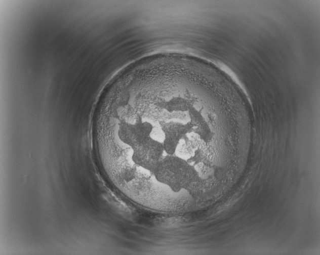 X0000068770791200605121700