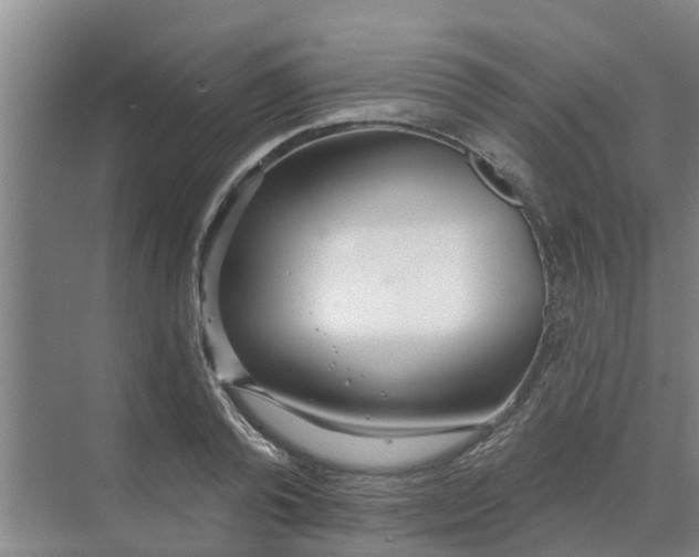 X0000068770792200605121700