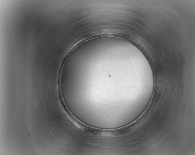 X0000068770794200605121700