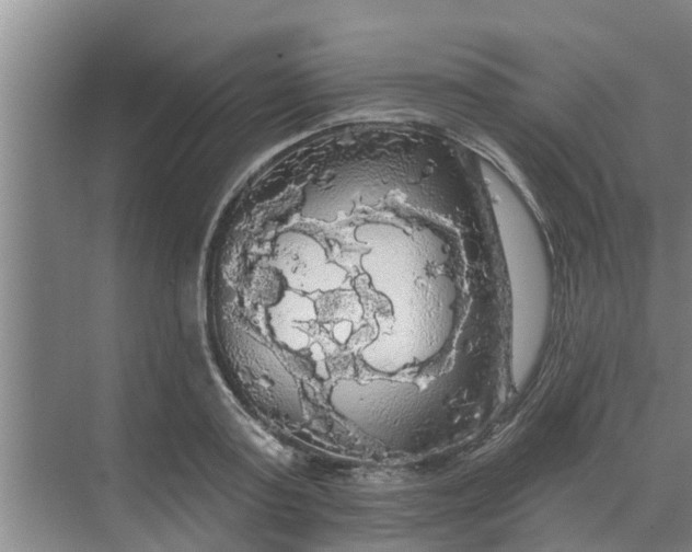 X0000068770795200605121700