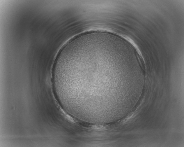 X0000068770799200605121700