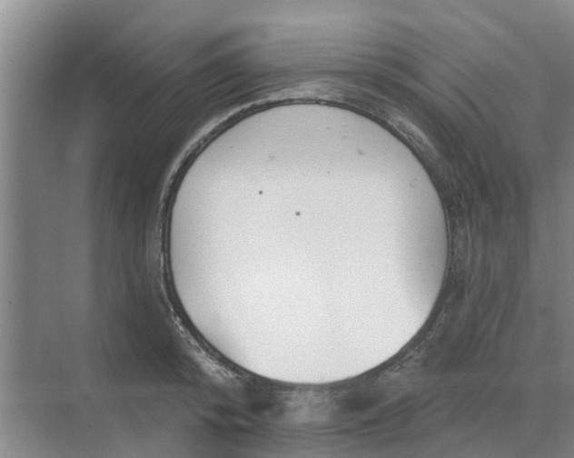 X0000068770800200605121700