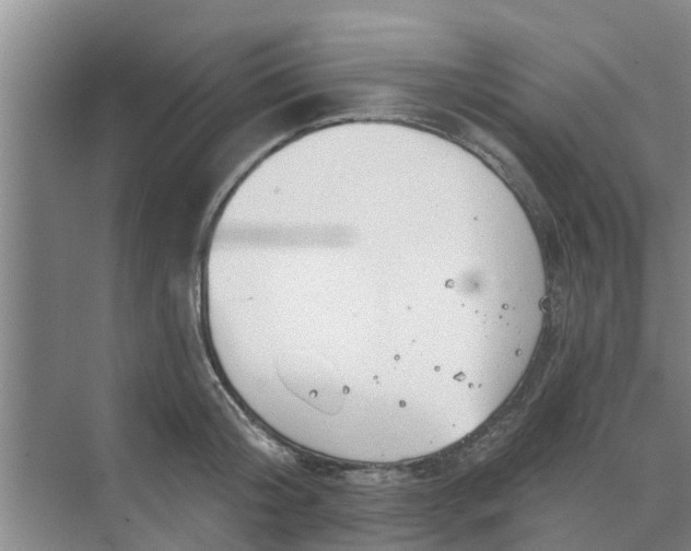 X0000068770804200605121700