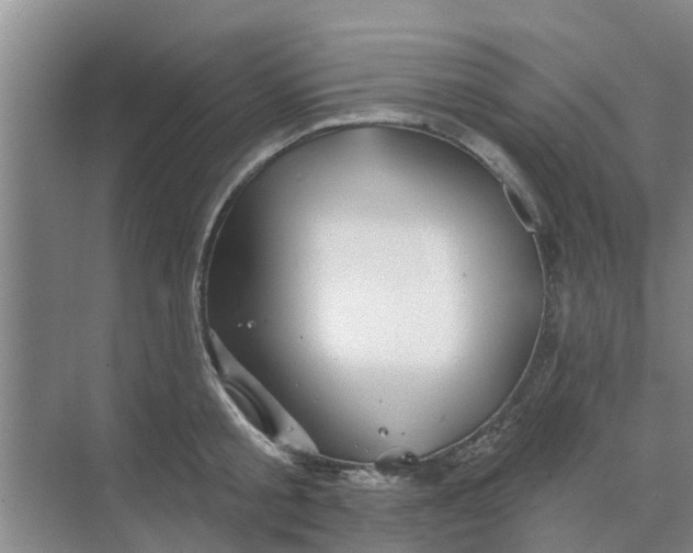 X0000068770805200605121700