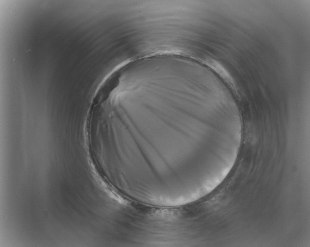 X0000068770806200605121700