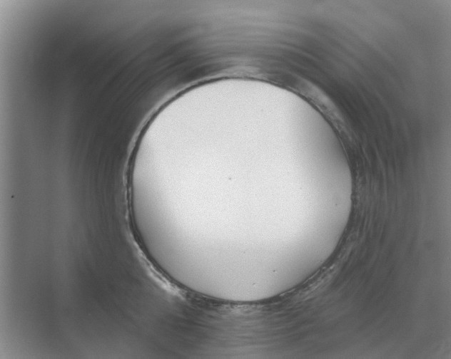 X0000068770808200605121700