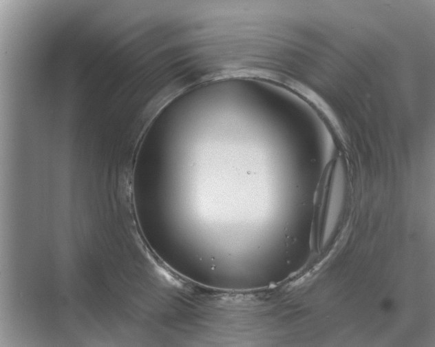 X0000068770809200605121700