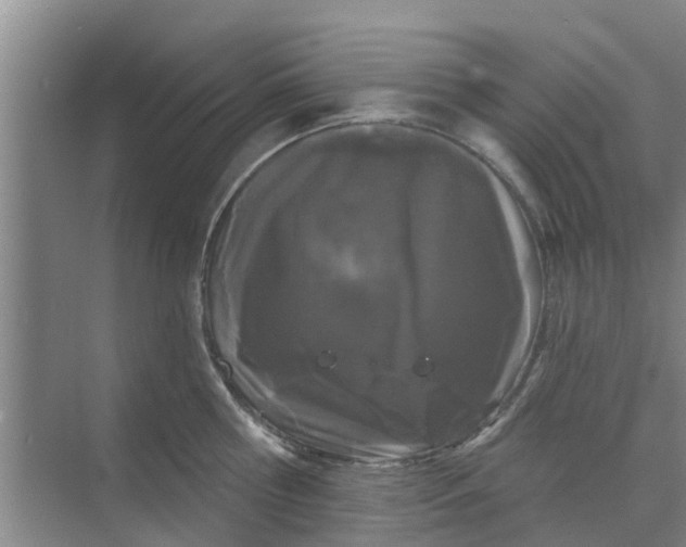 X0000068770810200605121700