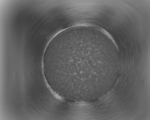 X0000068770811200605121700