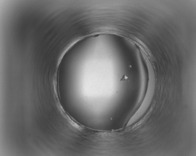 X0000068770812200605121700