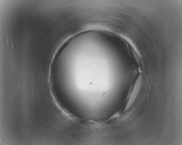 X0000068770815200605121700