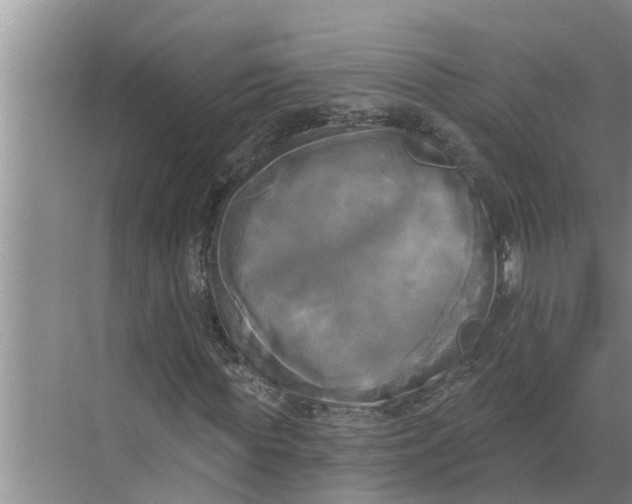 X0000068770819200605121659