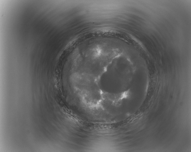 X0000068770823200605121659