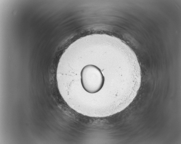 X0000068770824200605121659