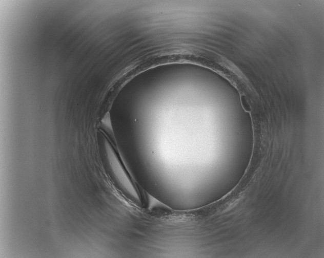 X0000068770826200605121659